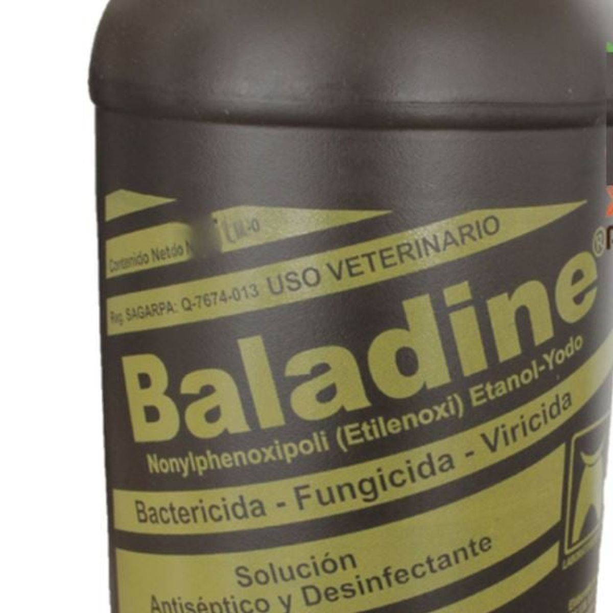GENERICO - Baladine Bactericida Fungicida x Galon