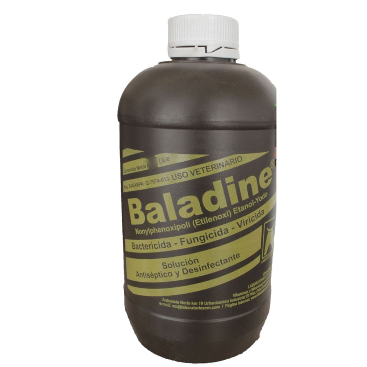 GENERICO - Baladine Bactericida Fungicida x Galon