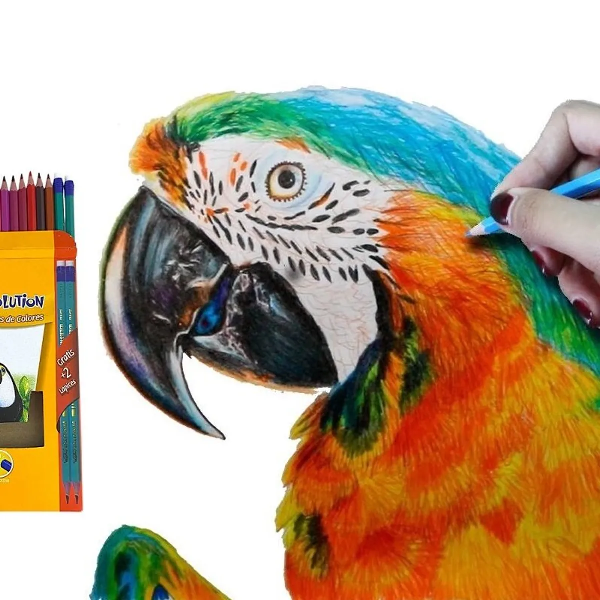 BIC - Colores Bic X 24 +2 Lápices