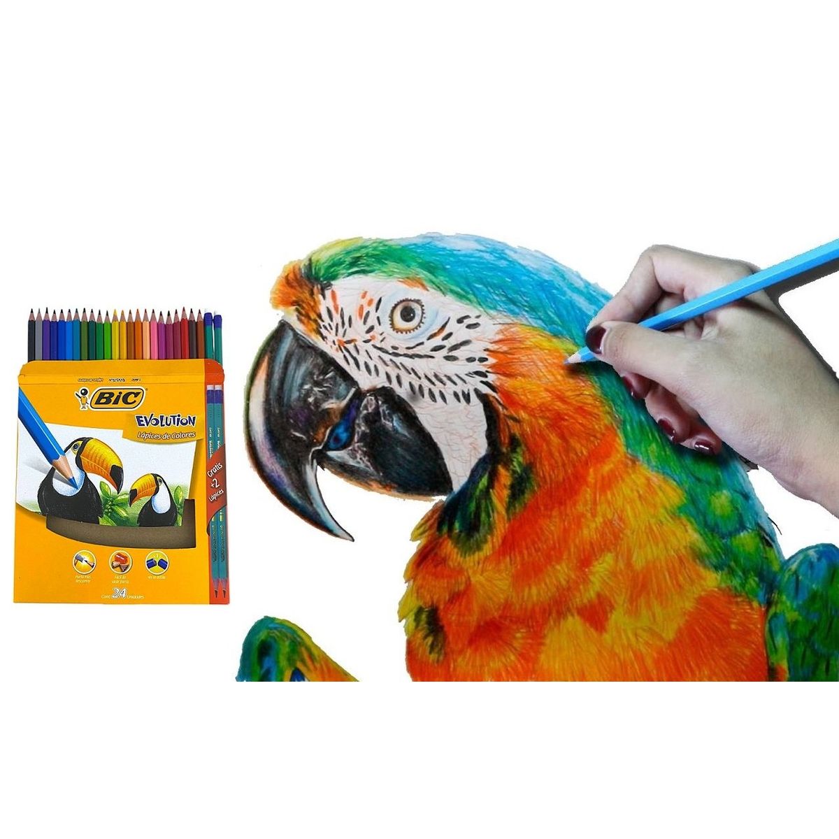 BIC - Colores Bic X 24 +2 Lápices