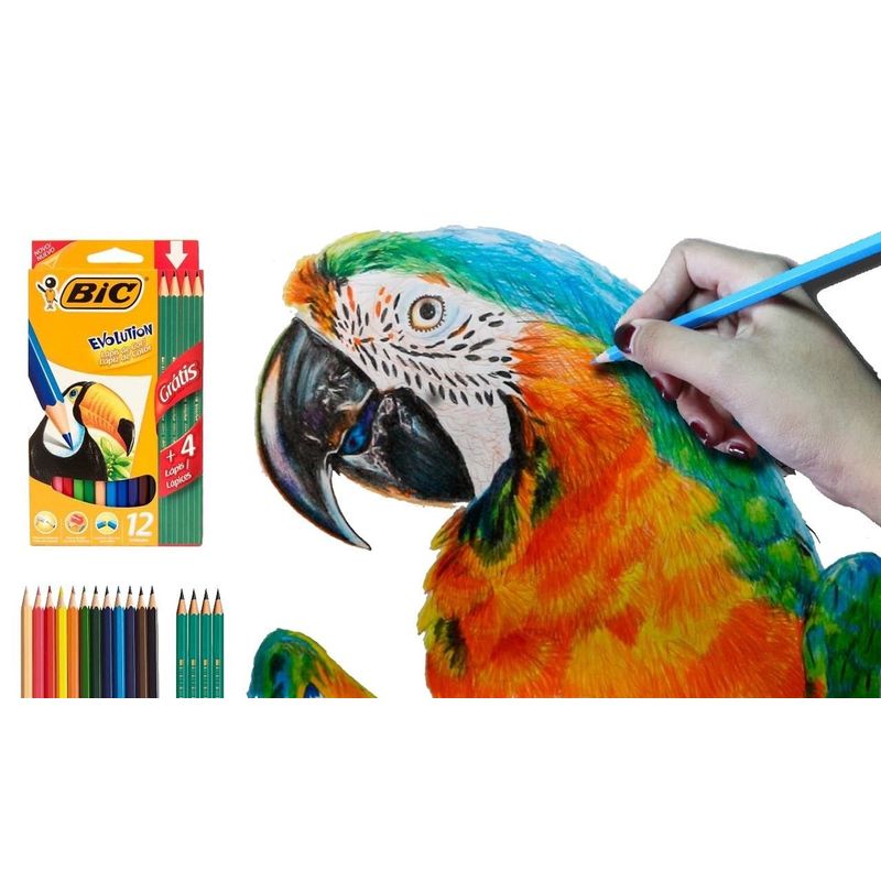 BIC - Colores Bic X 12 +4 Lápices