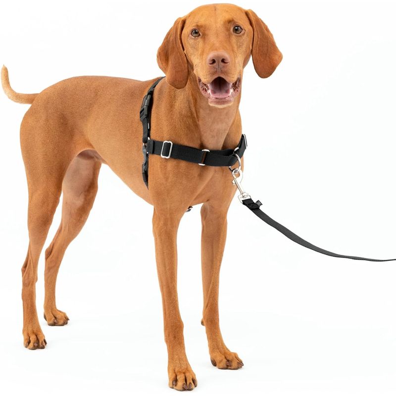 PETSAFE - Arnés para perro deja de tirar y enseña los modales talla M