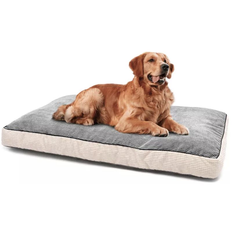 ENERGY PLUS - Cama Viscoelástica Premium para Perros Medianos