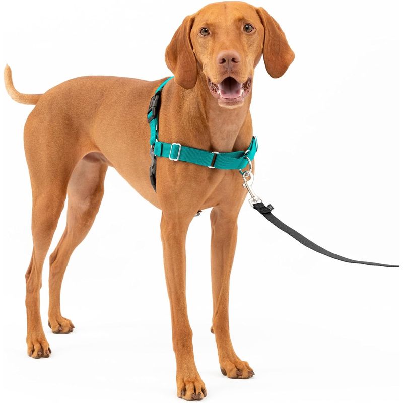 PETSAFE - Arnés para perro sin tirones EWH-HC-M-TEL PetSafe