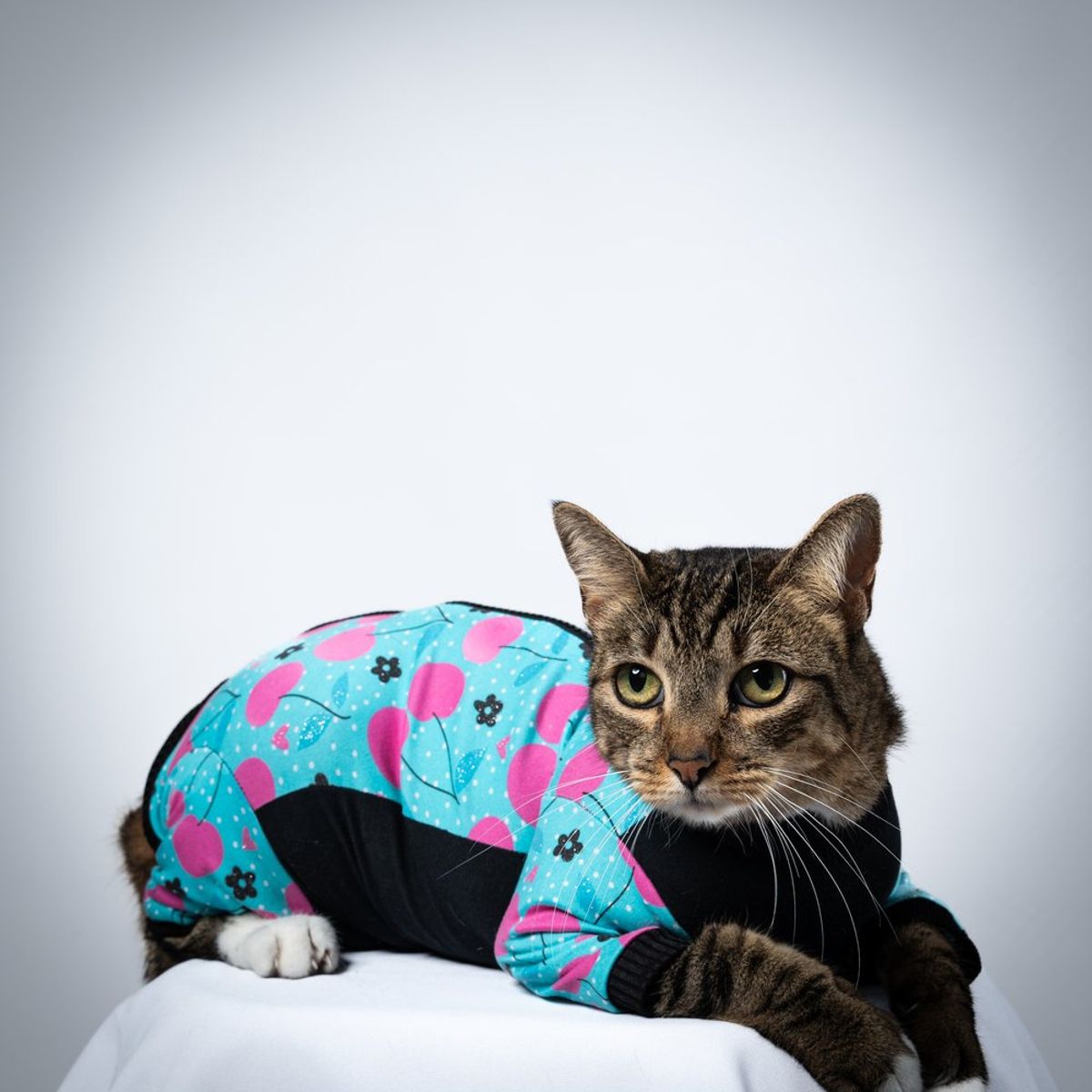 GENERICO - PIJAMA PARA GATOS TALLA XS