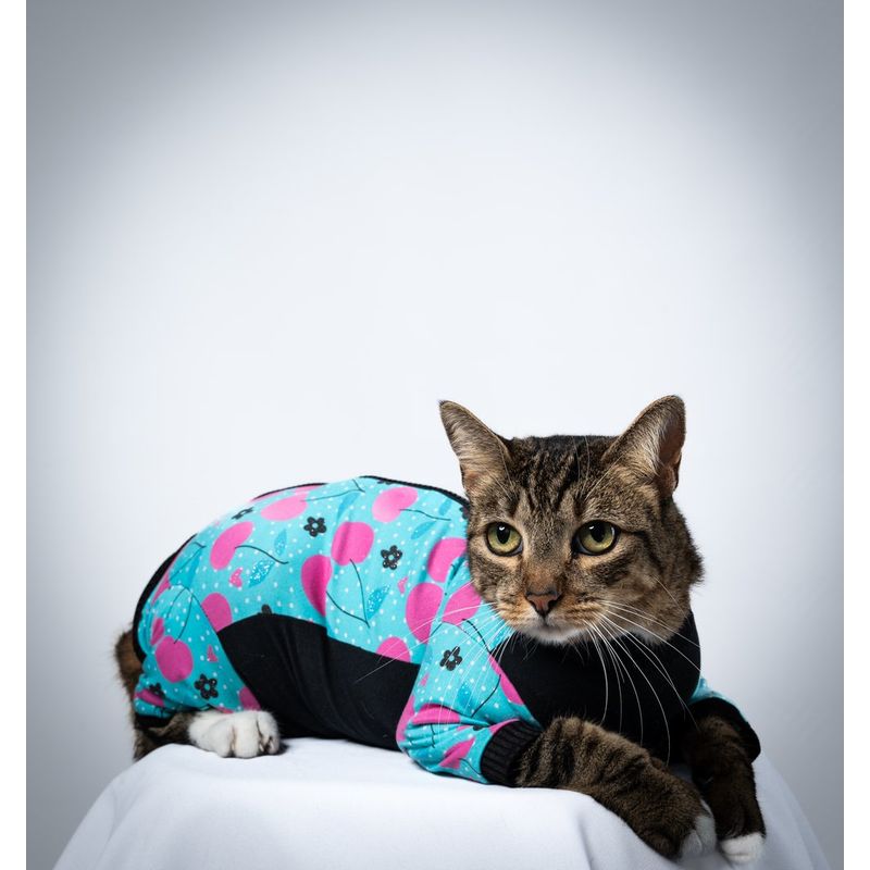 GENERICO - PIJAMA PARA GATOS TALLA XS