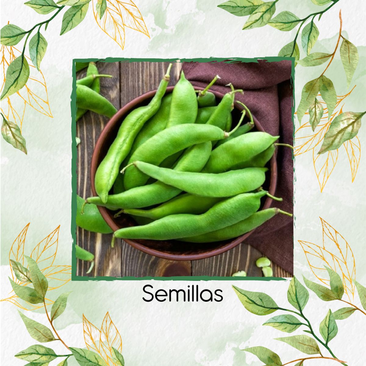 GENERICO - 150 Semillas Orgánicas De Habichuela