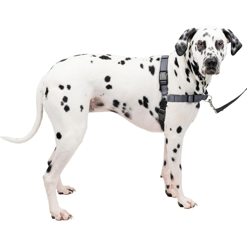 PETSAFE - Arnés de adiestramiento para perros cómodo acolchado talla L