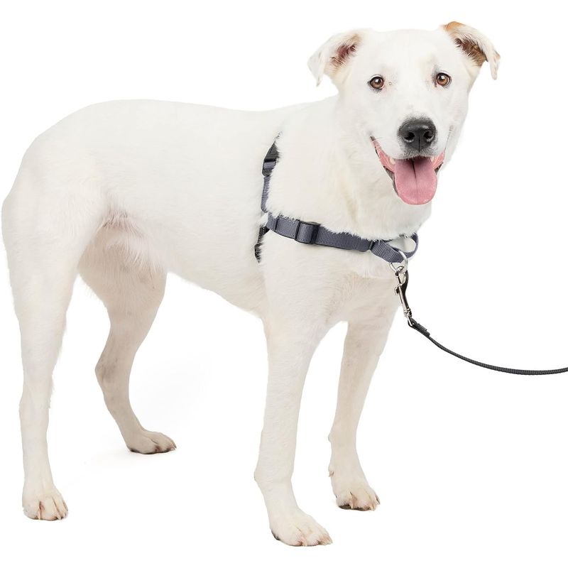 PETSAFE - Arnés para perros talla M/L gris acero/negro