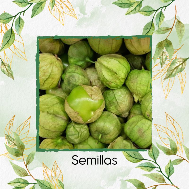 GENERICO - 200 Semillas Orgánicas De Tomatillo Tomate Mexicano