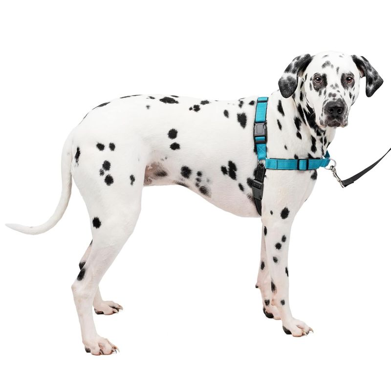 PETSAFE - Arnés de adiestramiento anti tirones talla L