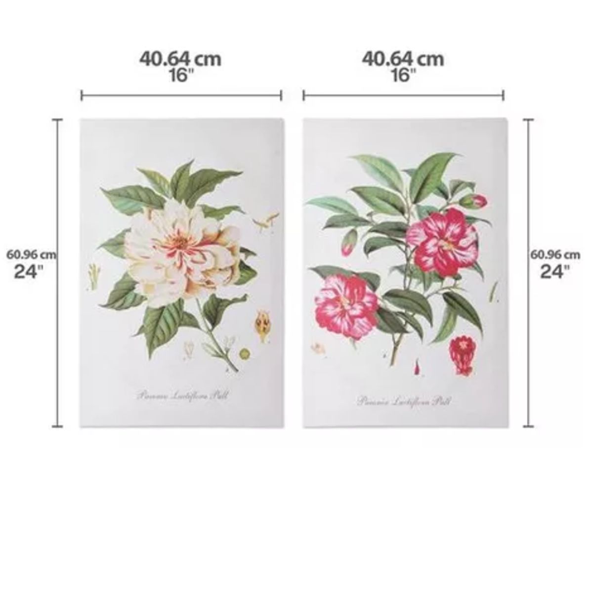 HOME ACCENTS - Set De 2 Cuadros De Arte Impresos En Lienzos Mikasa