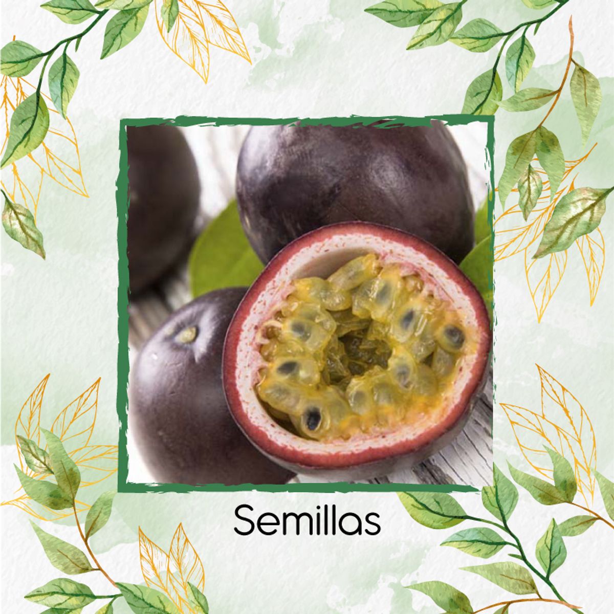 GENERICO - 300 Semillas Orgánicas De Fruta Gulupa