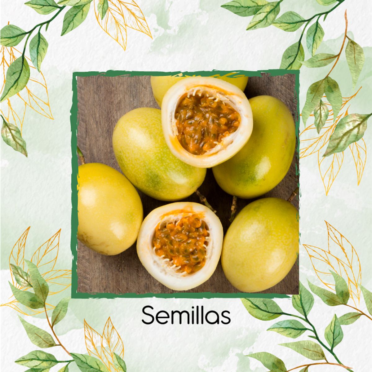 GENERICO - 180 Semillas Orgánicas De Maracuyá