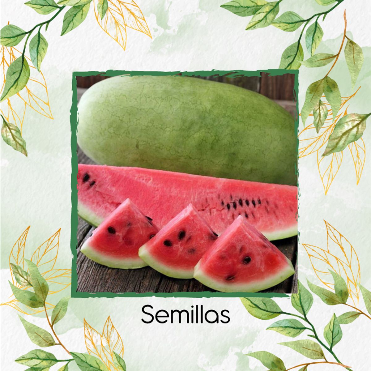 GENERICO - 400 Semillas Orgánicas De Fruta Sandia Charleston
