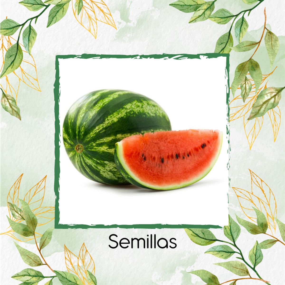 GENERICO - 20 Semillas Orgánicas De Fruta Sandia Jubilee