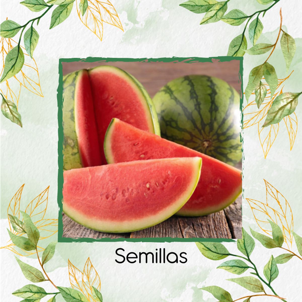 GENERICO - 200 Semillas Orgánicas De Fruta Sandia Jubilee