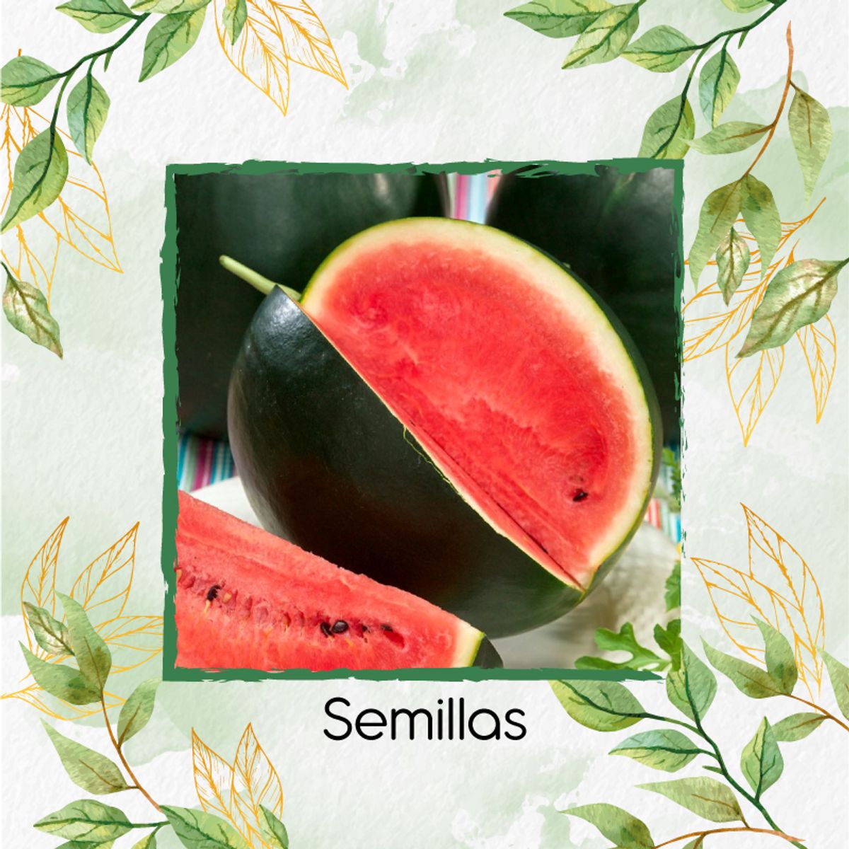 GENERICO - 90 Semillas Orgánicas De Fruta Sandia Sugar Baby