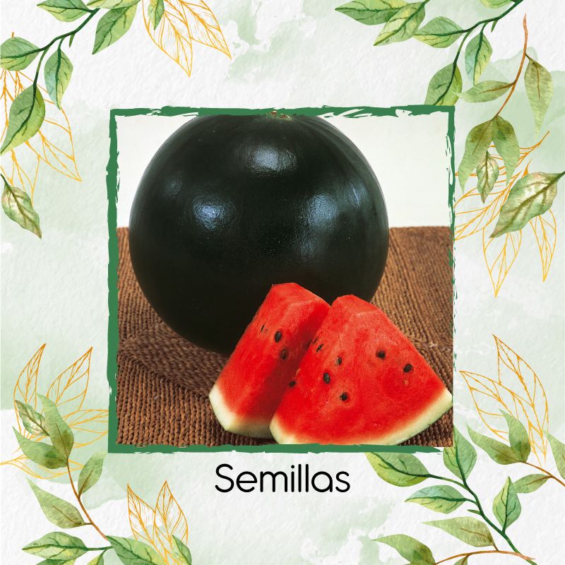 GENERICO - 450 Semillas Orgánicas De Fruta Sandia Sugar Baby