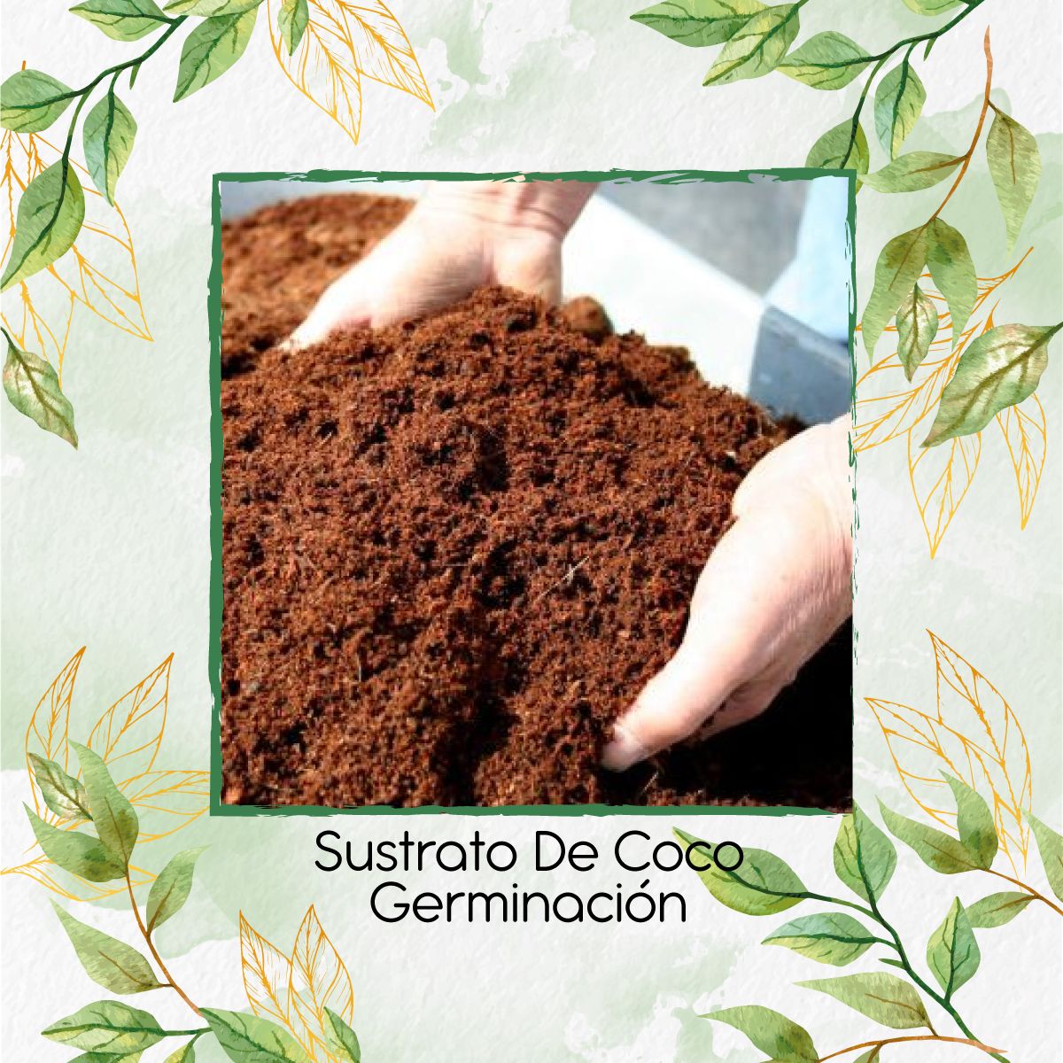 GENERICO - Sustrato De Coco Germinación X 16 Litros