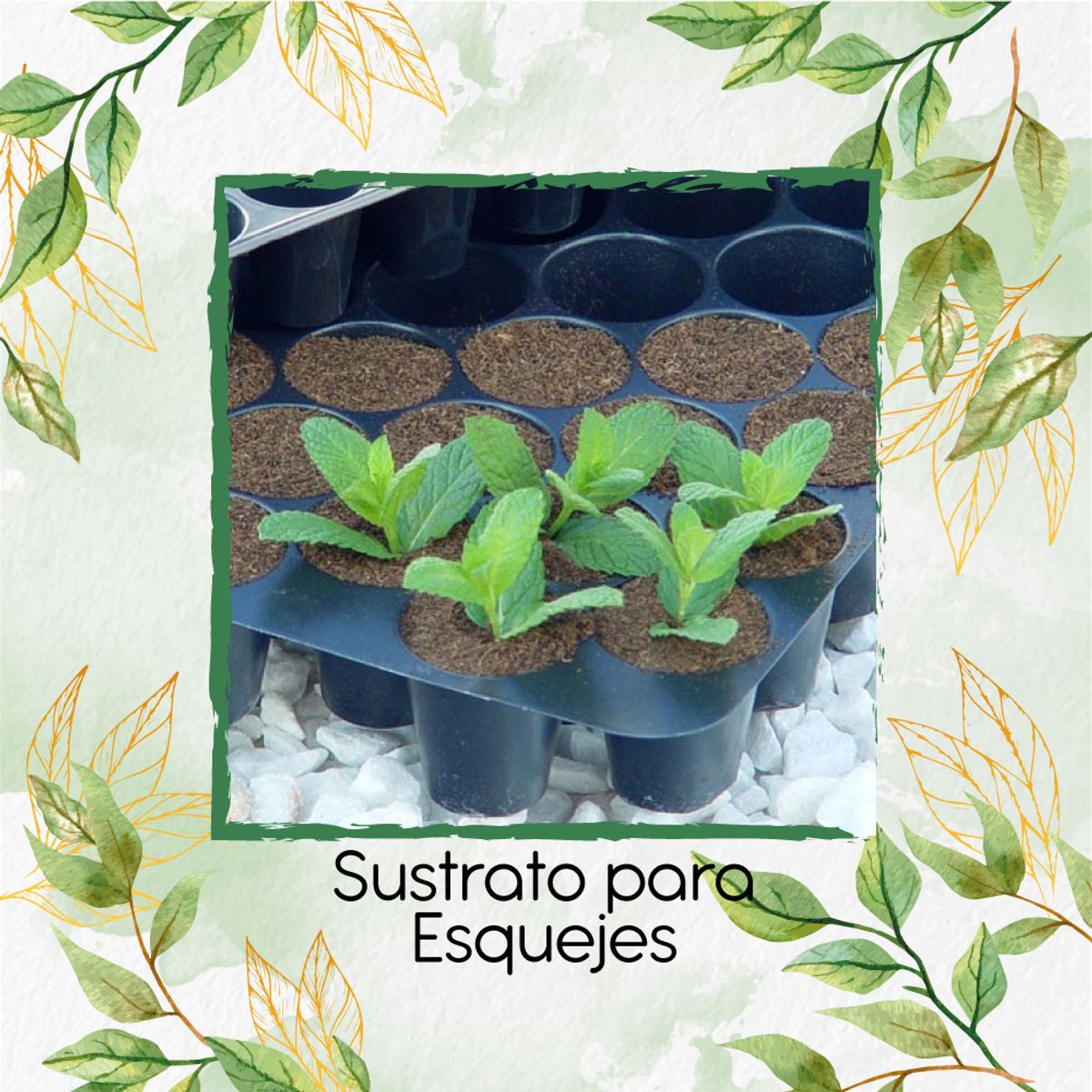 GENERICO - Sustrato para Esquejes X 16 Litros