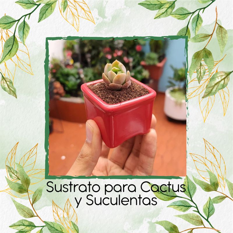 GENERICO - Sustrato Para Orquídeas X 16 Litros