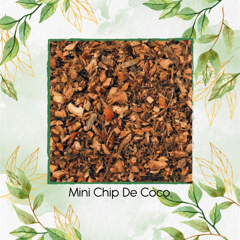 GENERICO - Mini Chip de Coco X 8 Litros