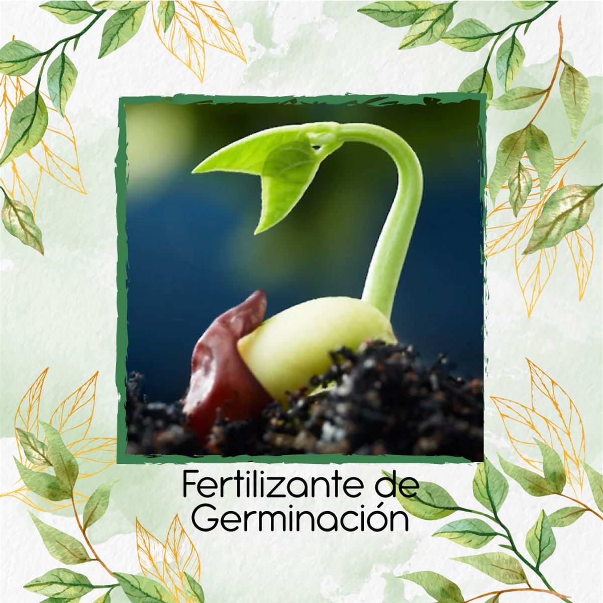 GENERICO - Fertilizante de Germinación X 120 Ml