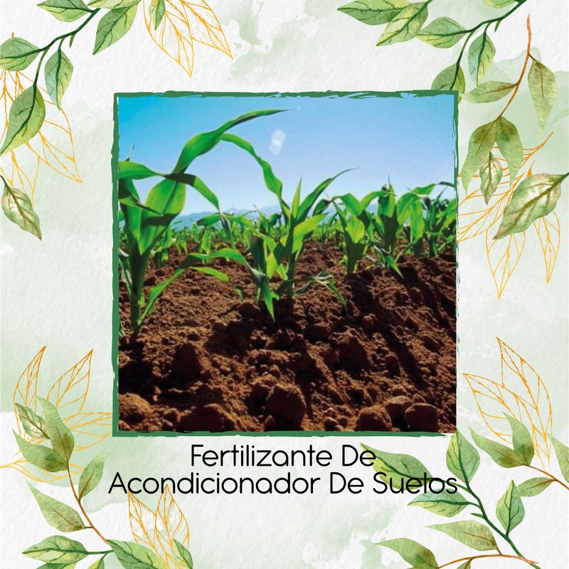 GENERICO - Fertilizante De Acondicionador de Suelos X 30 Ml