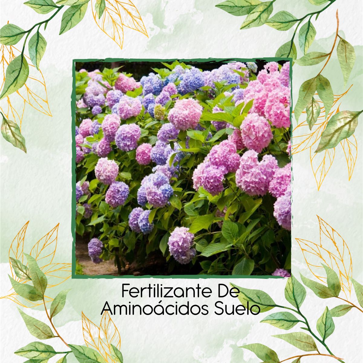 GENERICO - Fertilizante De Aminoácidos Suelo X 60 Ml