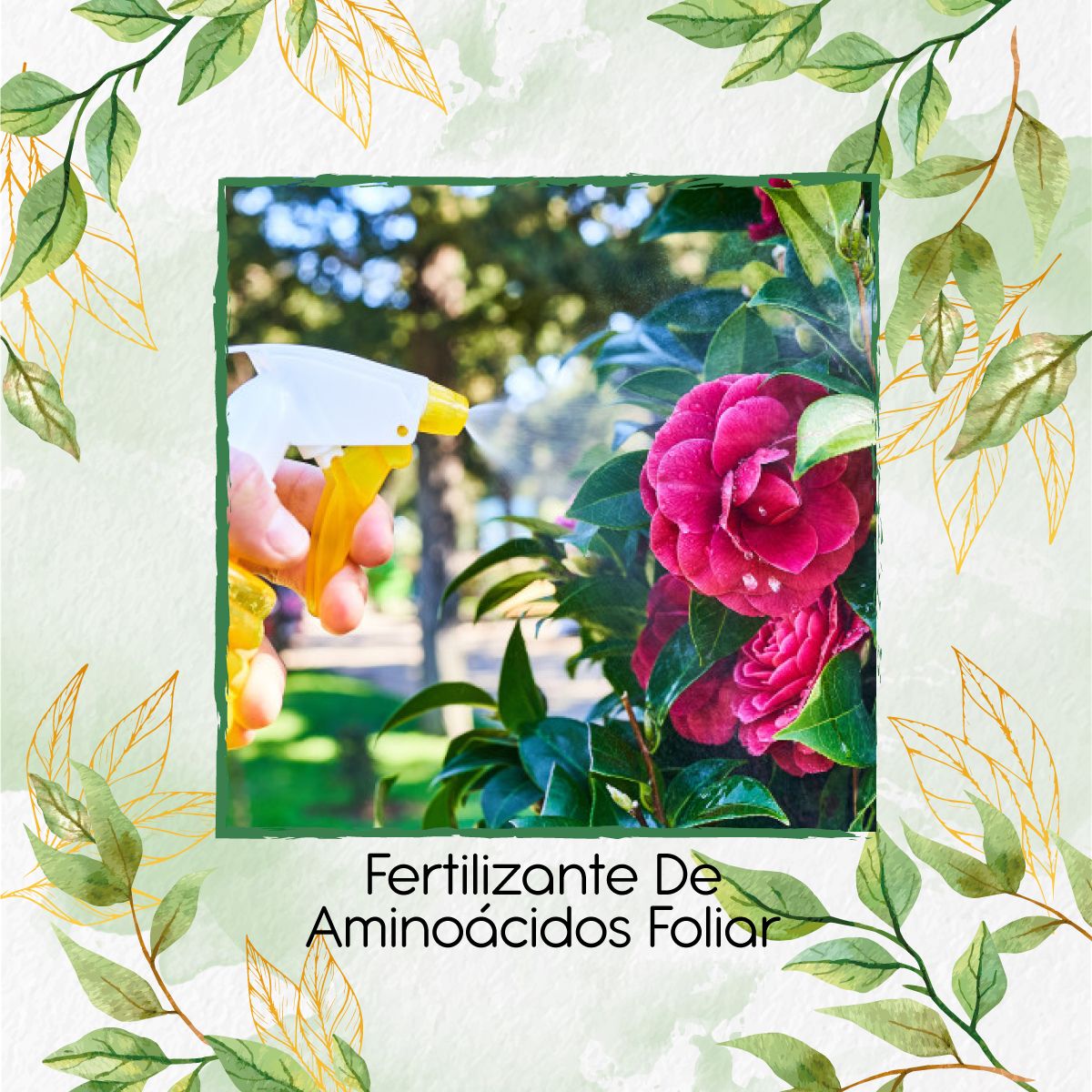 GENERICO - Fertilizante De Aminoácidos Foliar X 500 Ml