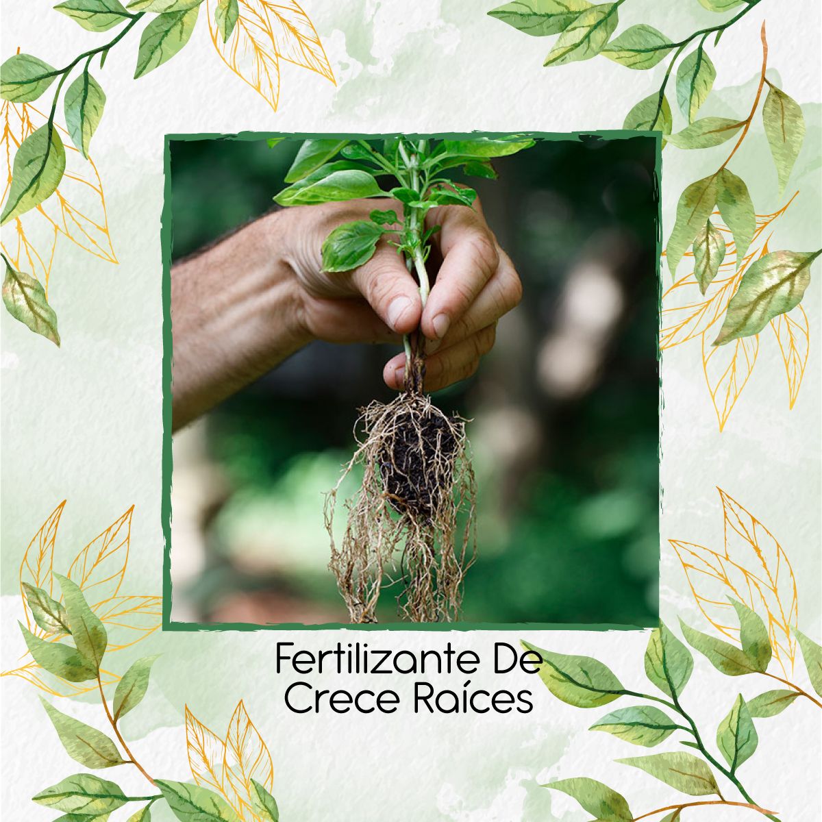 GENERICO - Fertilizante De Crece Raíces X 60 Ml