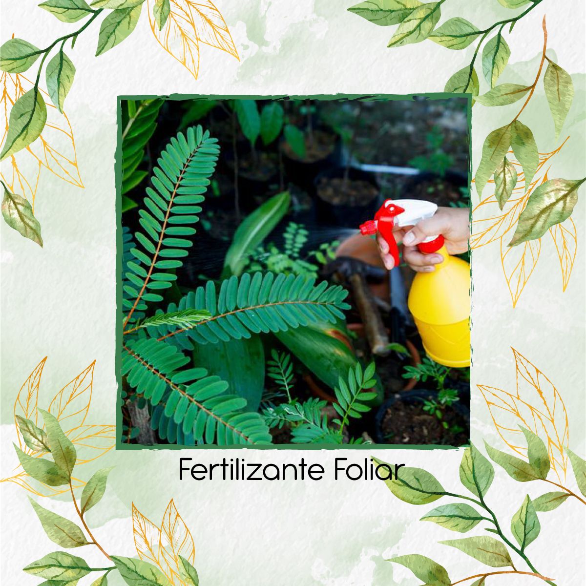 GENERICO - Fertilizante Foliar X 500 Ml