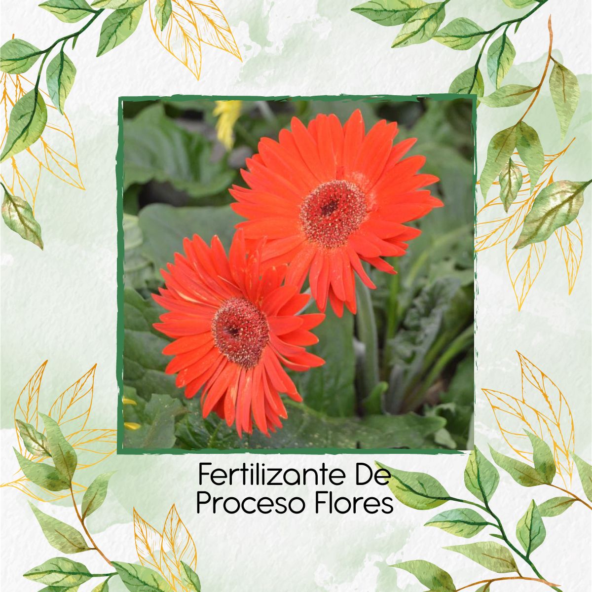 GENERICO - Fertilizante De Proceso Flores X 120 Ml