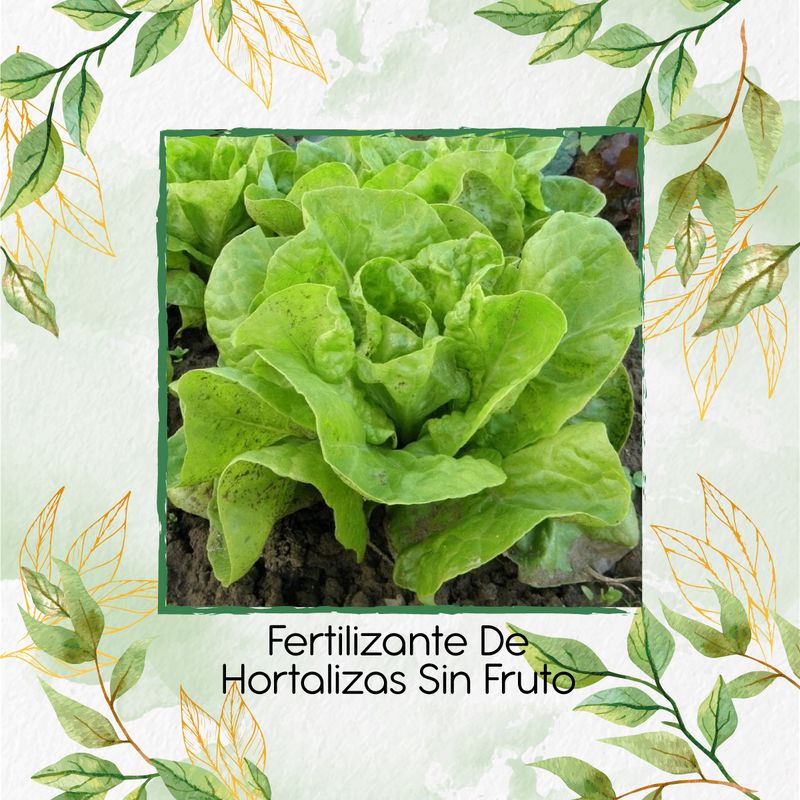GENERICO - Fertilizante De Hortalizas sin Fruto X 30 Ml