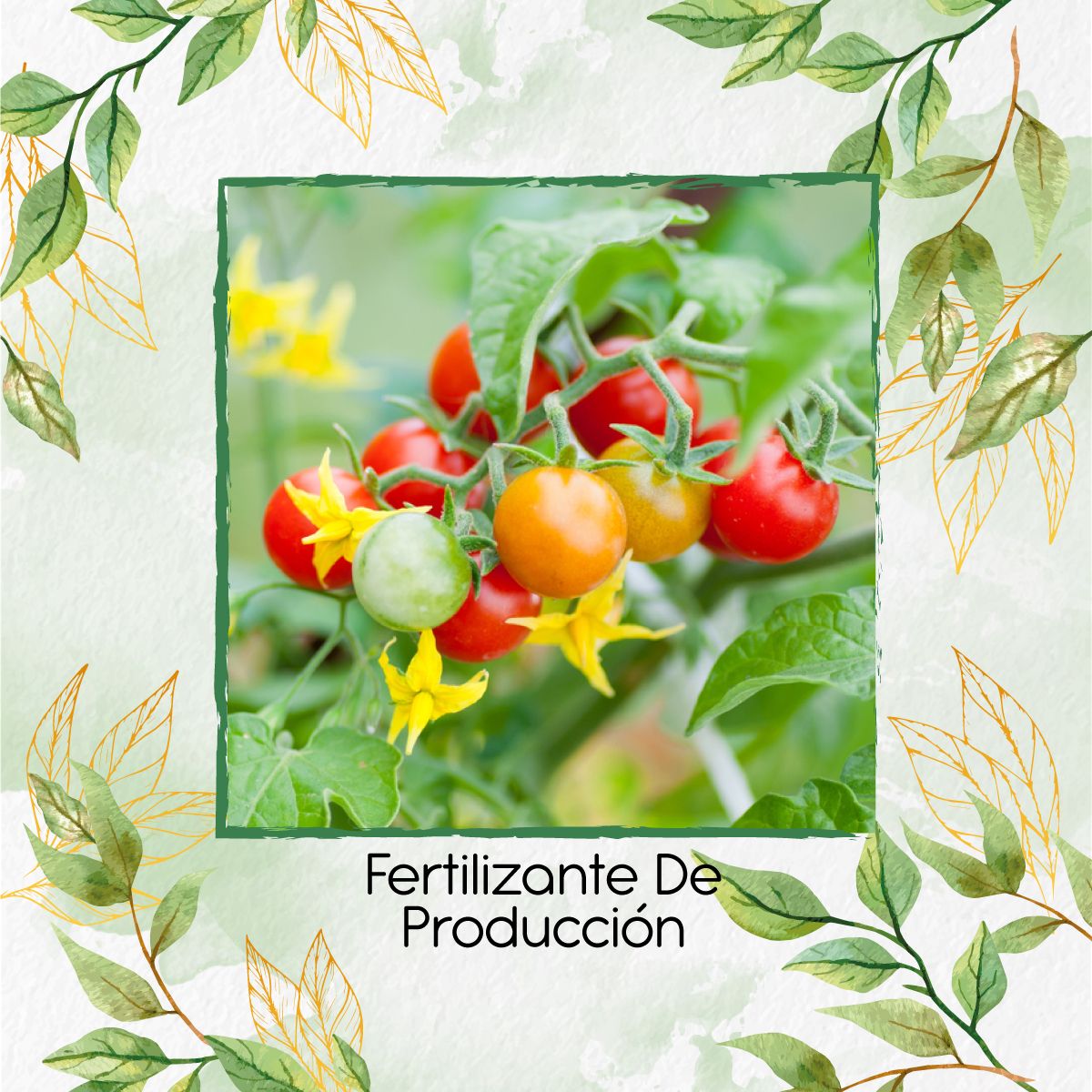 GENERICO - Fertilizante De Producción X 500 Ml
