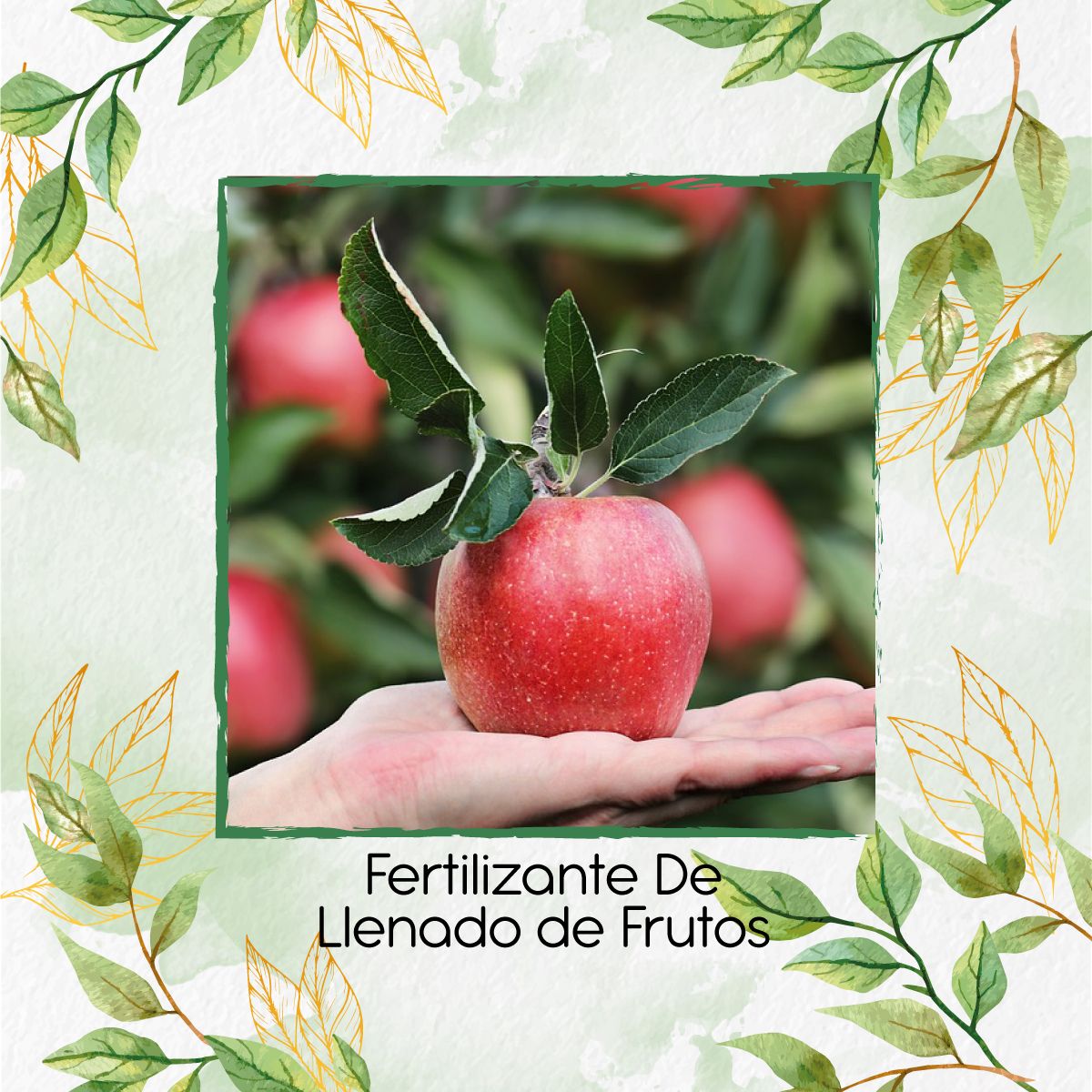 GENERICO - Fertilizante De Llenado De Frutos X 30 Ml