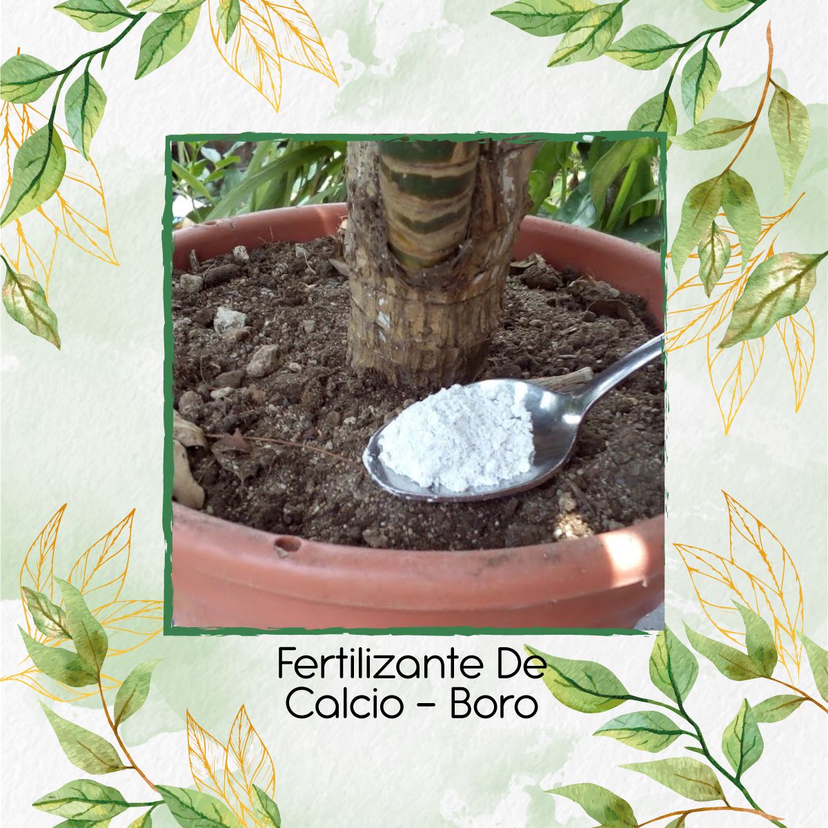 GENERICO - Fertilizante De Calcio - Boro X 60 ML