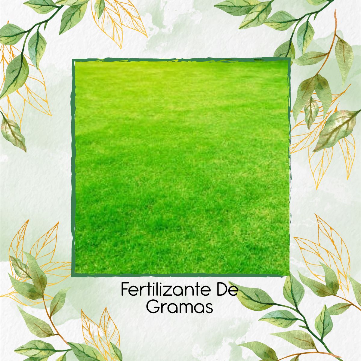 GENERICO - Fertilizante De Gramas X 60 Ml