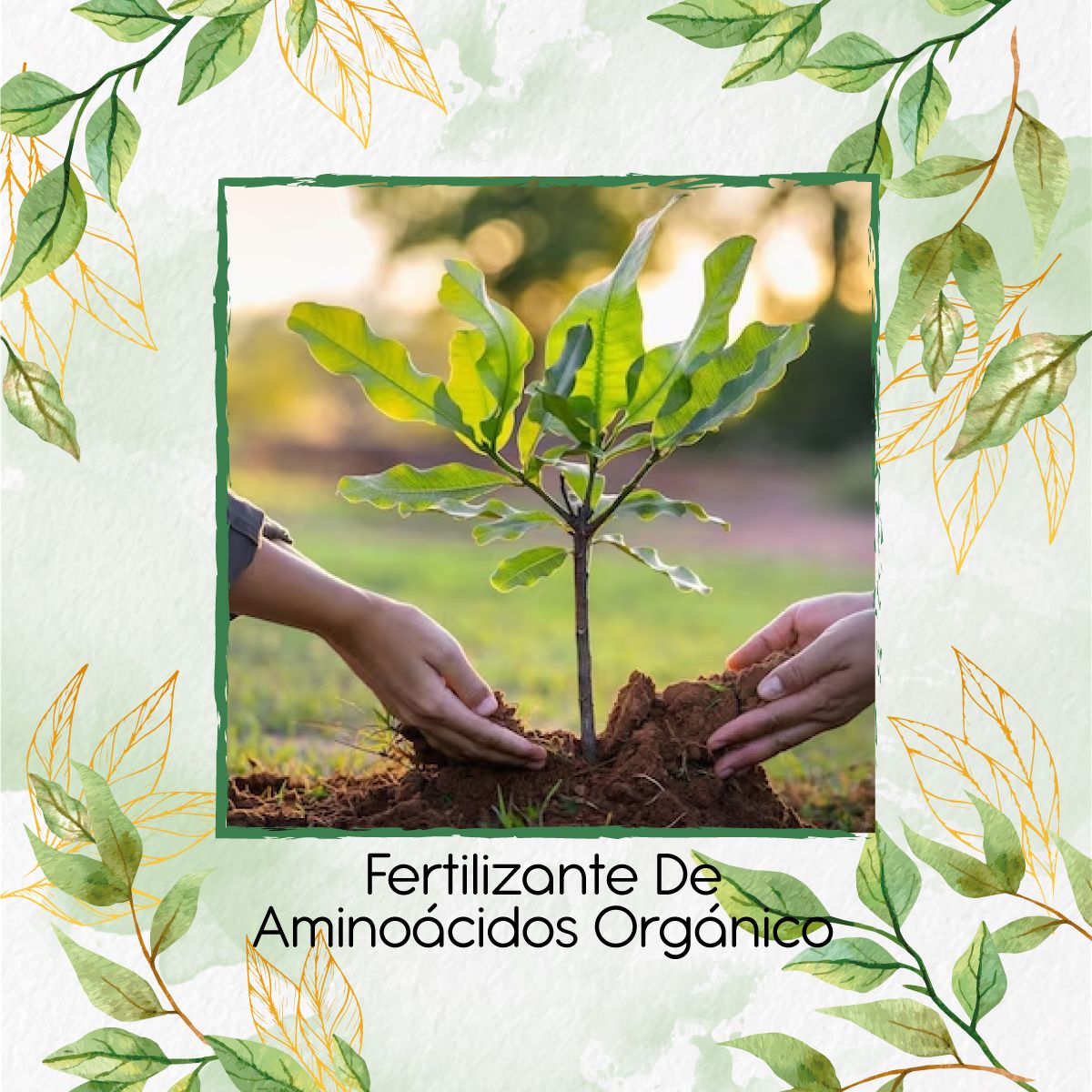 GENERICO - Fertilizante De Aminoácidos Orgánico X 60 ML