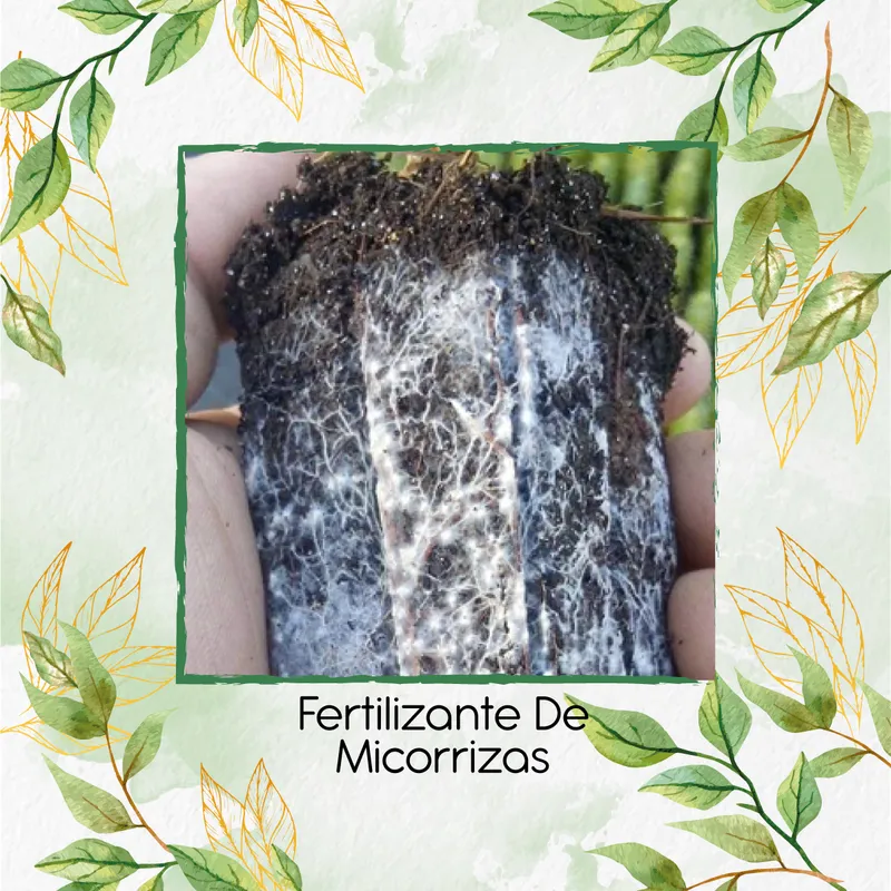 GENERICO - Fertilizante De Micorrizas X 30 ML