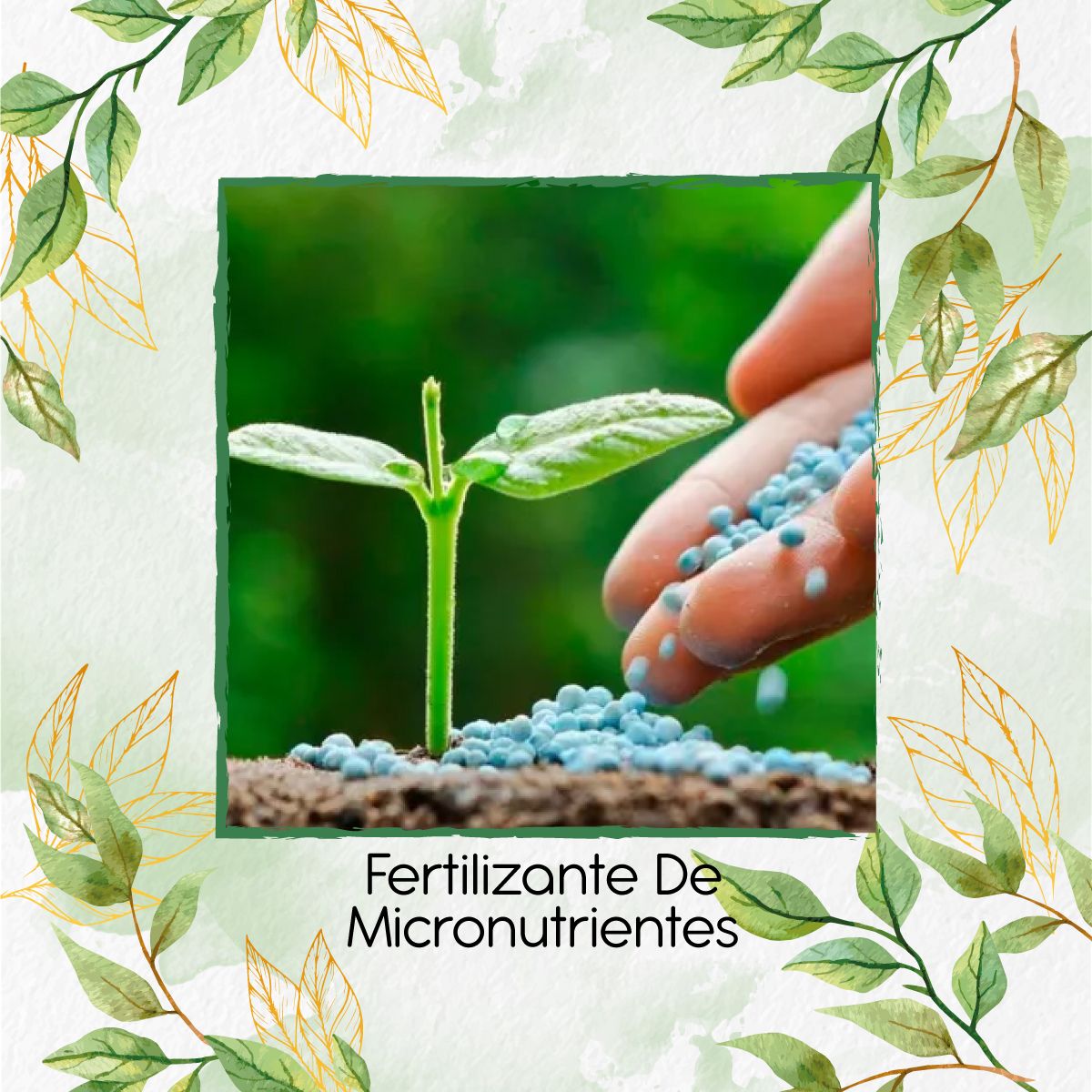 GENERICO - Fertilizante De Micronutrientes X 1 Kl