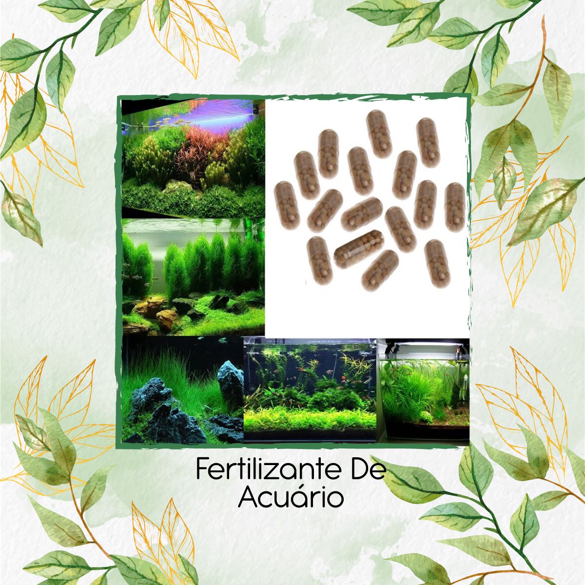 GENERICO - Fertilizante De Acuario X 40 Unidades