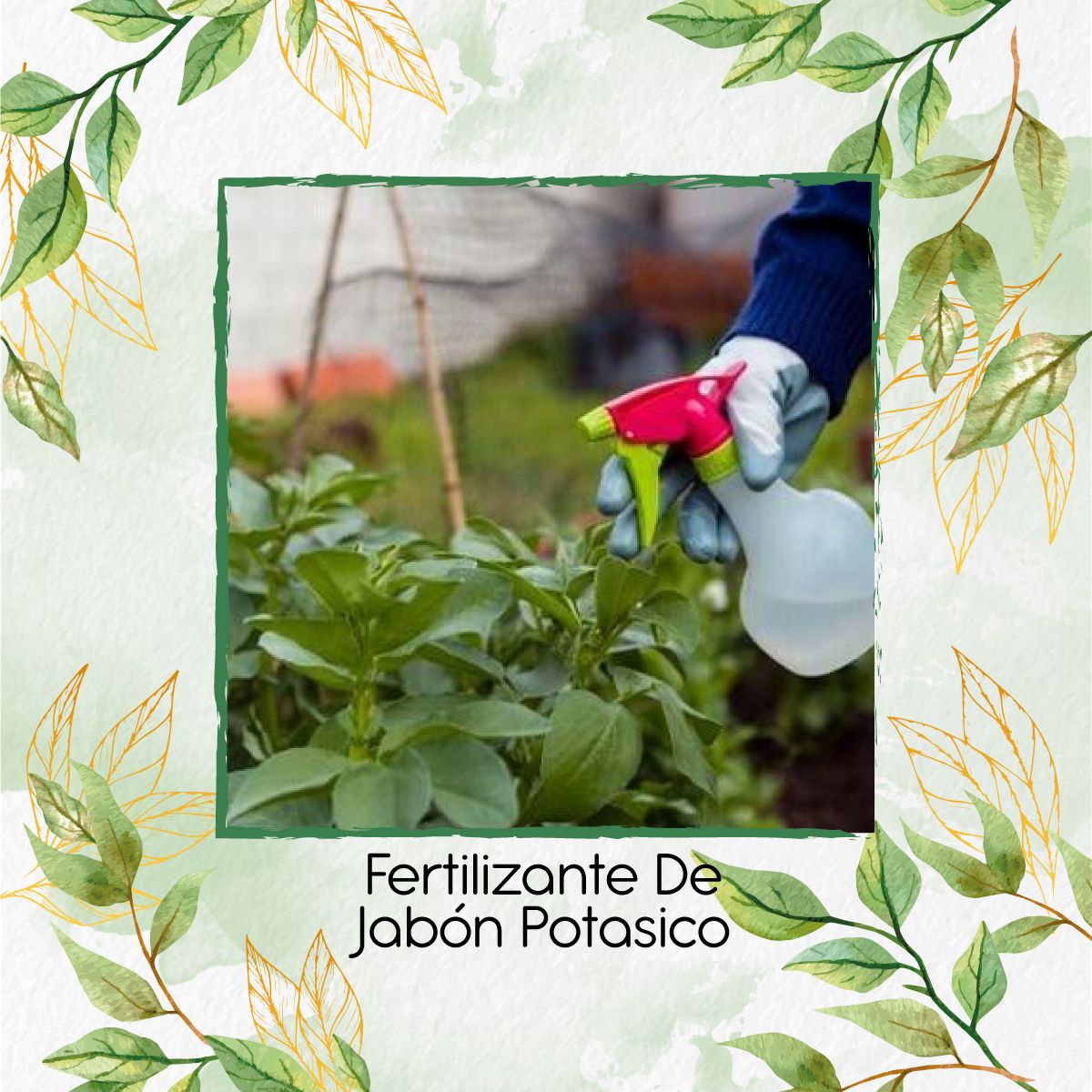 GENERICO - Fertilizante De Jabón Potásico X 120 Ml