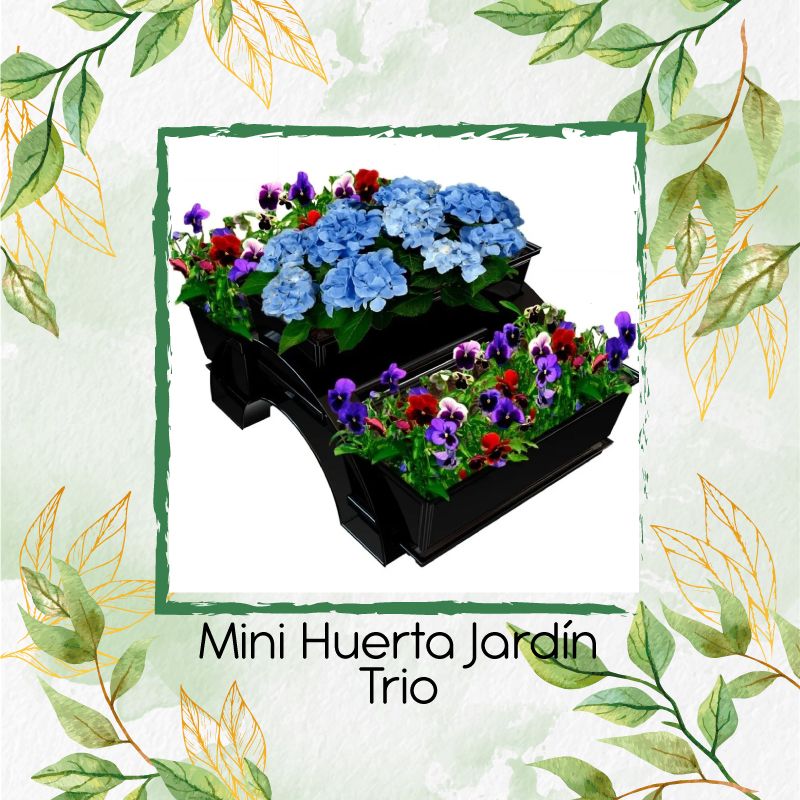 GENERICO - Mini Huerta Jardín Trio