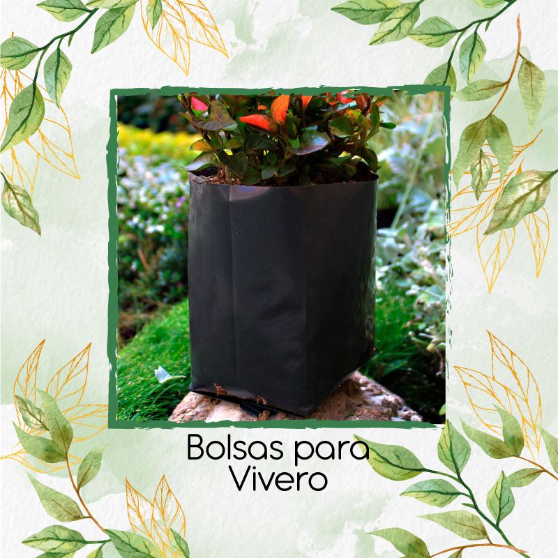 GENERICO - Bolsas para Vivero 15x20