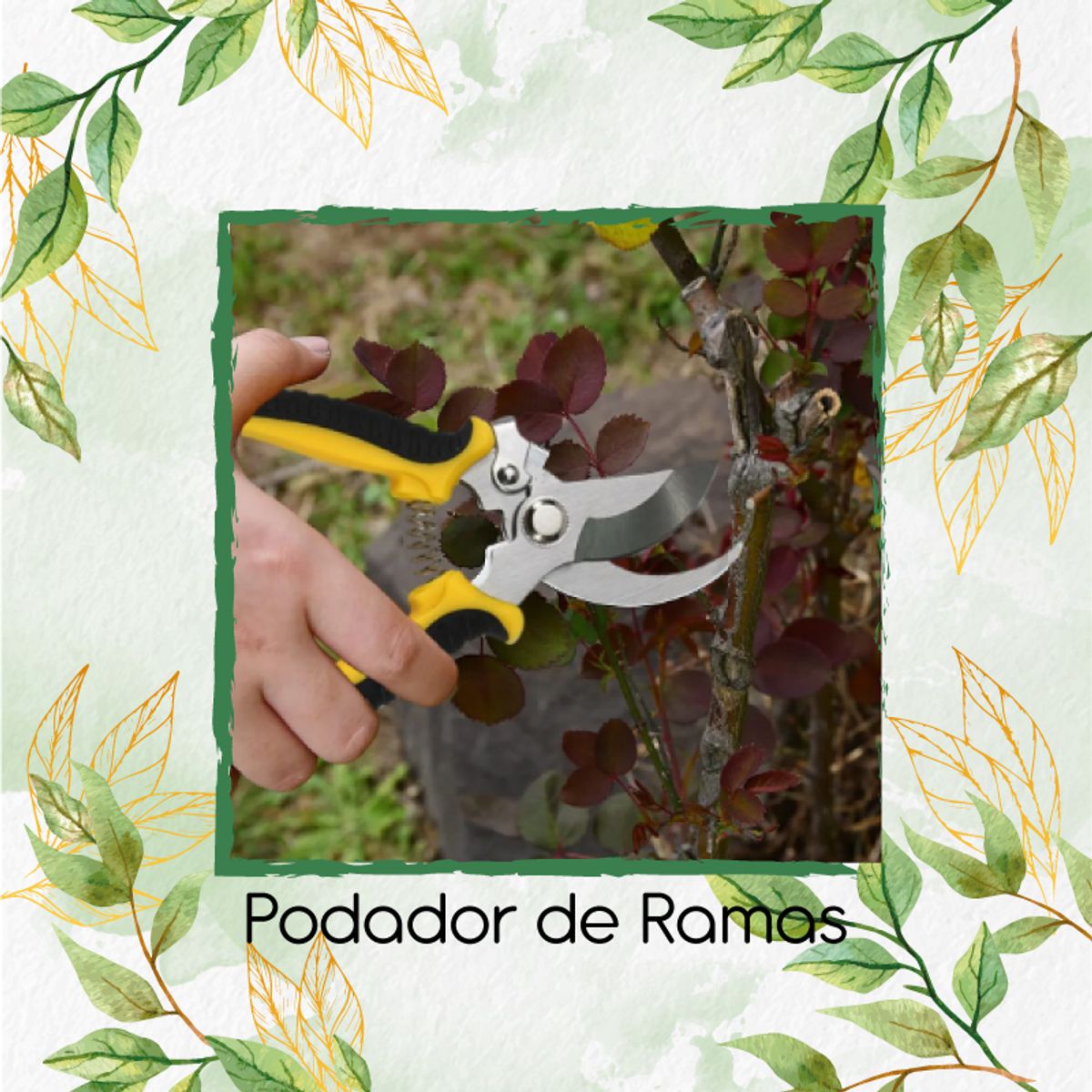 GENERICO - Podador De Ramas En Acero Inoxidable