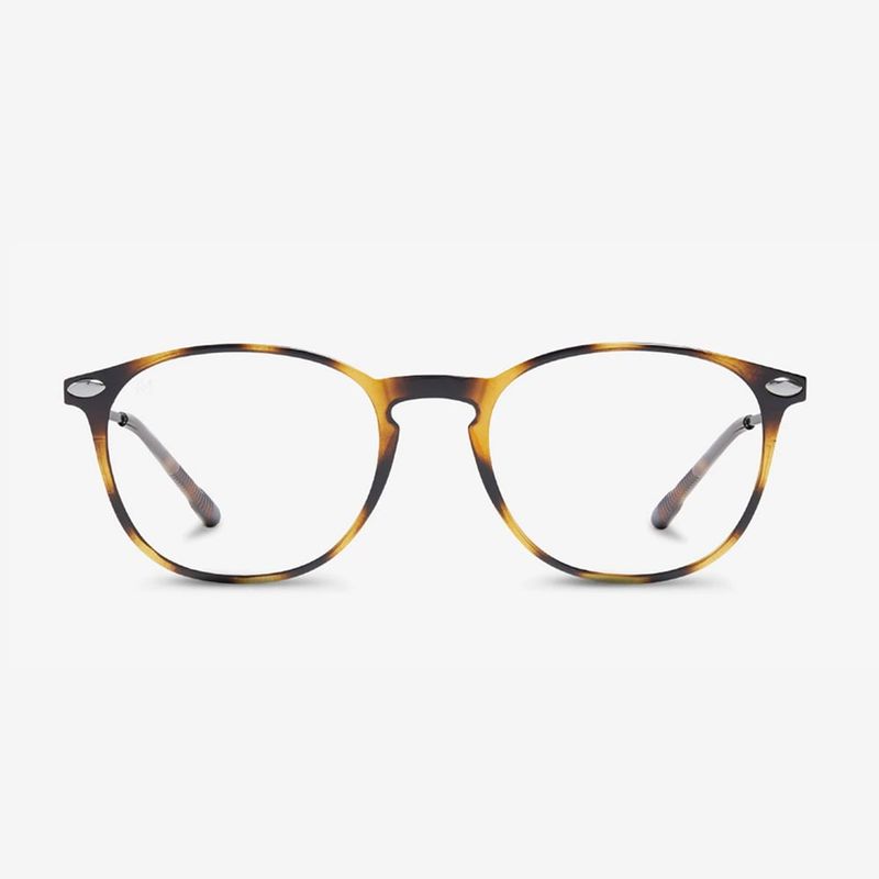 GENERICO - Gafas De Lectura Alba Tortoise +20