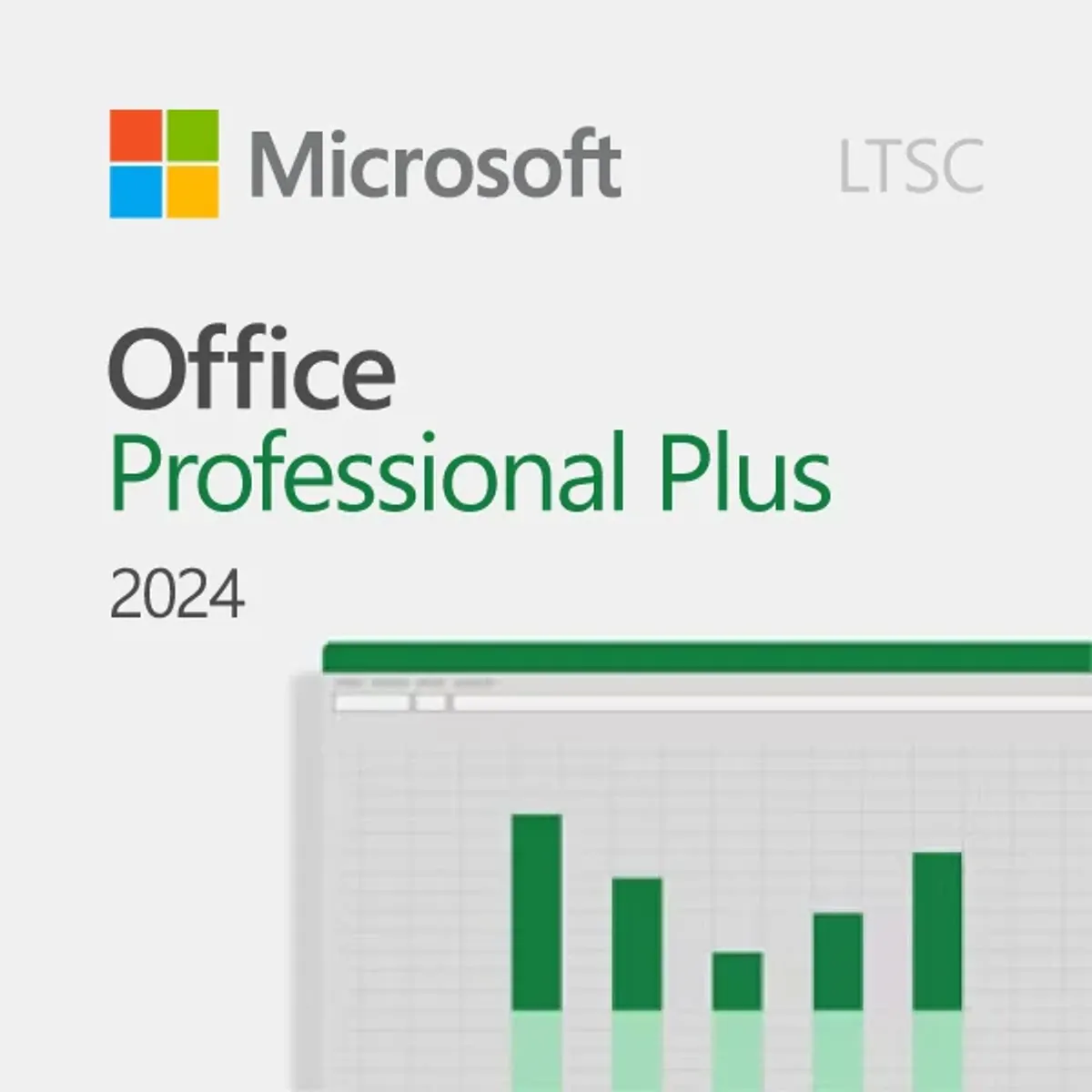 MICROSOFT - Microsoft Office 2024 Professional Plus LTSC