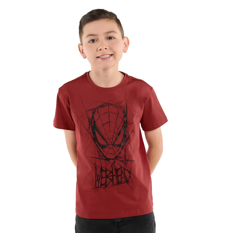 TOTTO - Camiseta para Niño Spiderman Amazing Gris